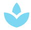 USP Icon 3